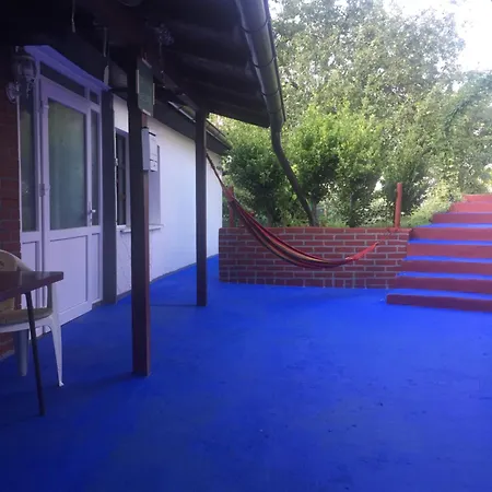 Daire Dolores Tesanj