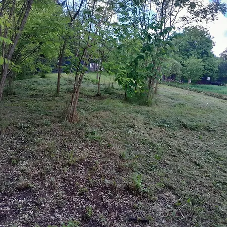 公寓 Dolores Tesanj