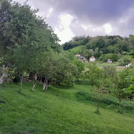 Apartament Dolores *