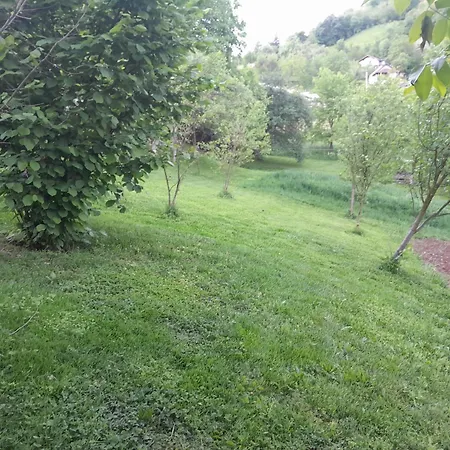 Apartament Dolores *