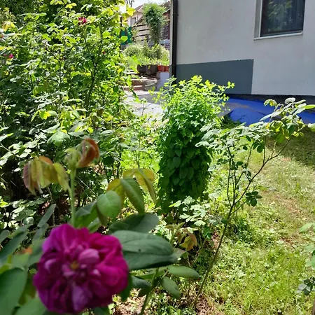 Apartman Dolores *