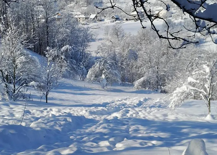 Dolores شقة Tesanj